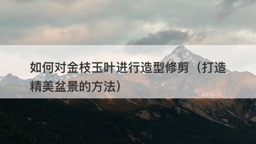 如何对金枝玉叶进行造型修剪（打造精美盆景的方法）