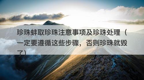 珍珠蚌取珍珠注意事项及珍珠处理（一定要遵循这些步骤，否则珍珠就毁了）