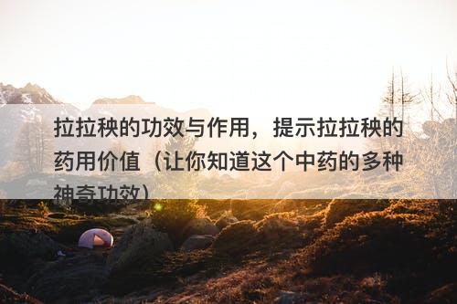 拉拉秧的功效与作用，提示拉拉秧的药用价值（让你知道这个中药的多种神奇功效）