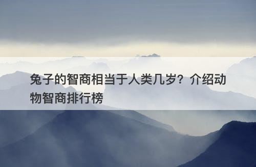 兔子的智商相当于人类几岁？介绍动物智商排行榜