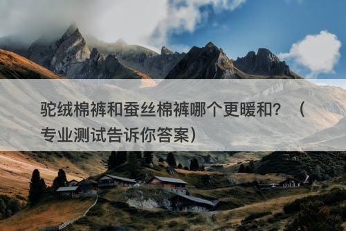 驼绒棉裤和蚕丝棉裤哪个更暖和？（专业测试告诉你答案）