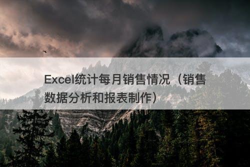 Excel统计每月销售情况（销售数据分析和报表制作）