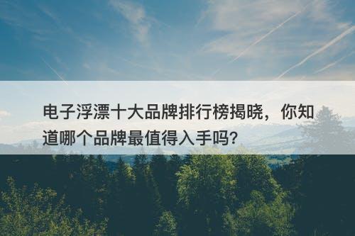 电子浮漂十大品牌排行榜揭晓，你知道哪个品牌最值得入手吗？