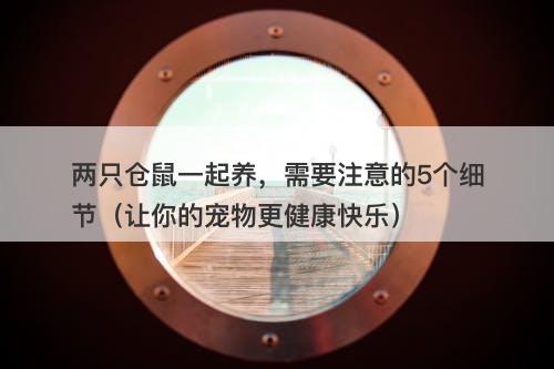 两只仓鼠一起养，需要注意的5个细节（让你的宠物更健康快乐）