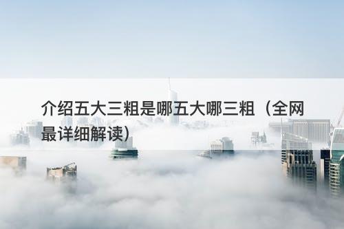 介绍五大三粗是哪五大哪三粗（全网最详细解读）
