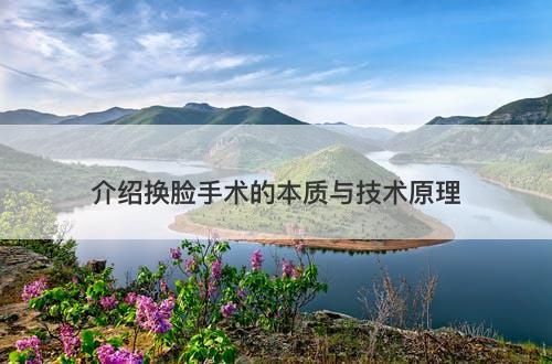 介绍换脸手术的本质与技术原理