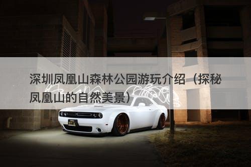 深圳凤凰山森林公园游玩介绍（探秘凤凰山的自然美景）