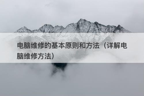 电脑维修的基本原则和方法（详解电脑维修方法）