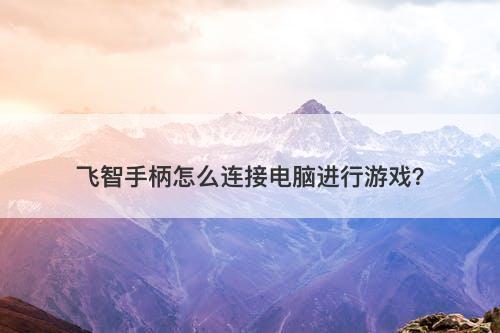 飞智手柄怎么连接电脑进行游戏？