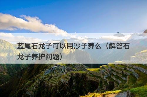 蓝尾石龙子可以用沙子养么（解答石龙子养护问题）