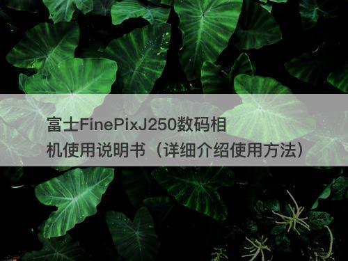 富士FinePixJ250数码相机使用说明书（详细介绍使用方法）