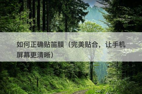 如何正确贴笛膜（完美贴合，让手机屏幕更清晰）