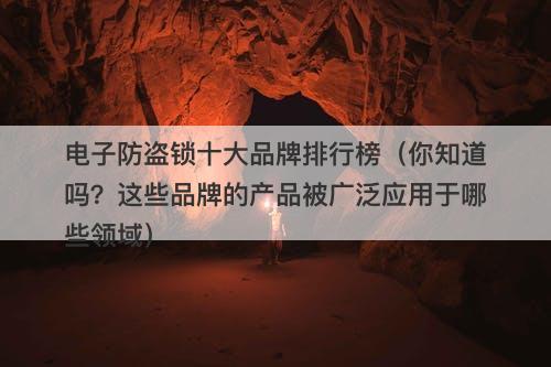 电子防盗锁十大品牌排行榜（你知道吗？这些品牌的产品被广泛应用于哪些领域）