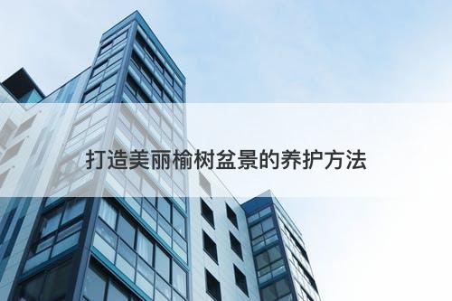 打造美丽榆树盆景的养护方法