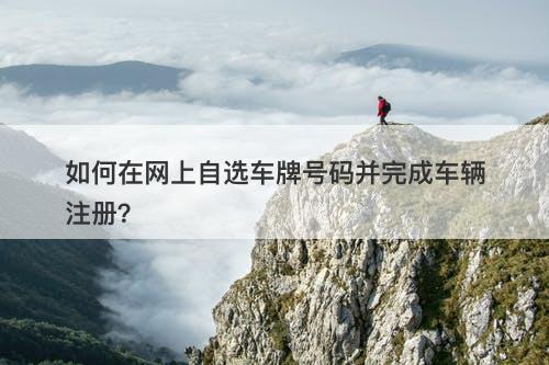 如何在网上自选车牌号码并完成车辆注册？