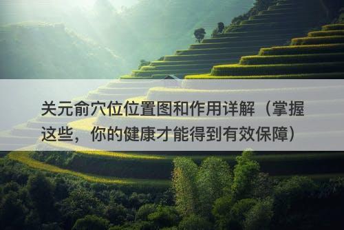 关元俞穴位位置图和作用详解（掌握这些，你的健康才能得到有效保障）