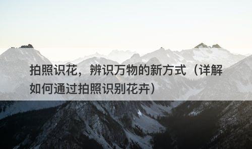 拍照识花，辨识万物的新方式（详解如何通过拍照识别花卉）