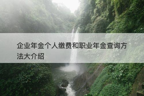 企业年金个人缴费和职业年金查询方法大介绍