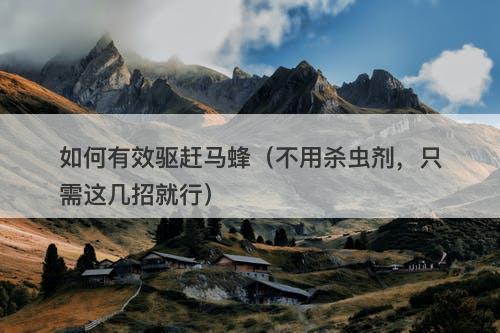 如何有效驱赶马蜂（不用杀虫剂，只需这几招就行）