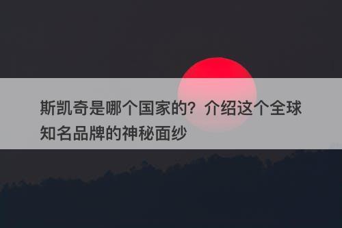 斯凯奇是哪个国家的？介绍这个全球知名品牌的神秘面纱