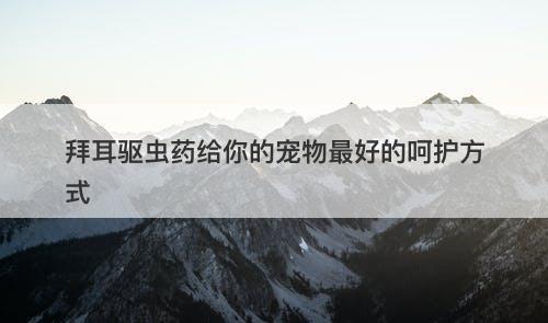 拜耳驱虫药给你的宠物最好的呵护方式