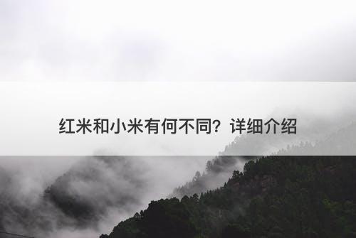 红米和小米有何不同？详细介绍