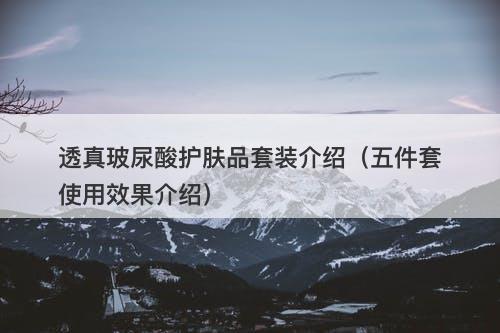 透真玻尿酸护肤品套装介绍（五件套使用效果介绍）