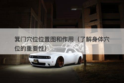 箕门穴位位置图和作用（了解身体穴位的重要性）