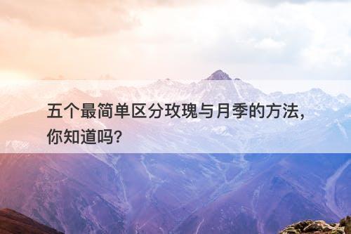 五个最简单区分玫瑰与月季的方法，你知道吗？