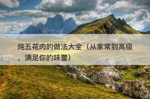 炖五花肉的做法大全（从家常到高级，满足你的味蕾）