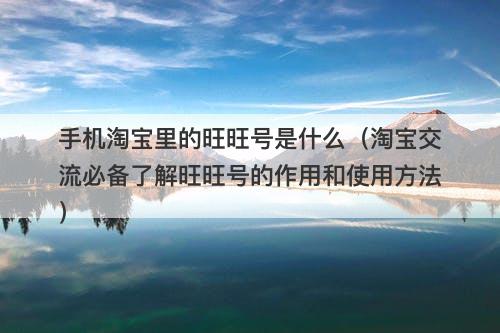 手机淘宝里的旺旺号是什么（淘宝交流必备了解旺旺号的作用和使用方法）