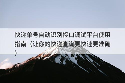快递单号自动识别接口调试平台使用指南（让你的快递查询更快速更准确）