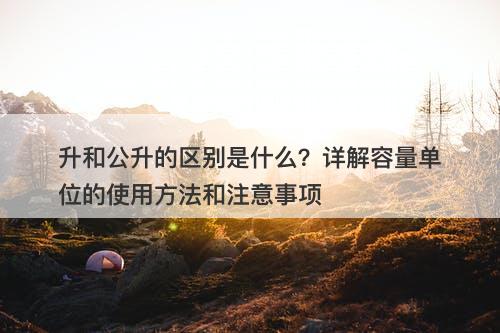 升和公升的区别是什么？详解容量单位的使用方法和注意事项
