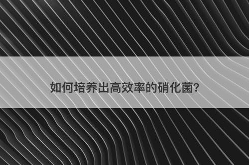 如何培养出高效率的硝化菌？