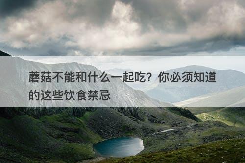 蘑菇不能和什么一起吃？你必须知道的这些饮食禁忌