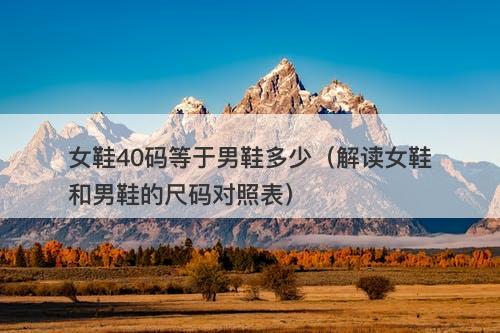 女鞋40码等于男鞋多少（解读女鞋和男鞋的尺码对照表）