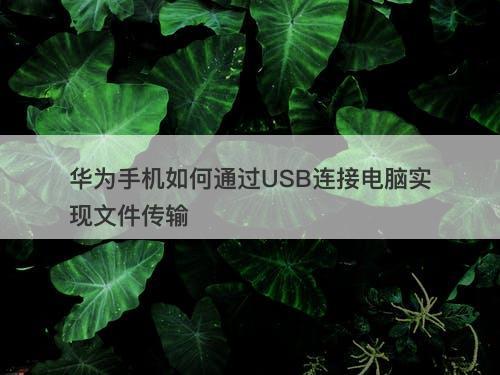 华为手机如何通过USB连接电脑实现文件传输