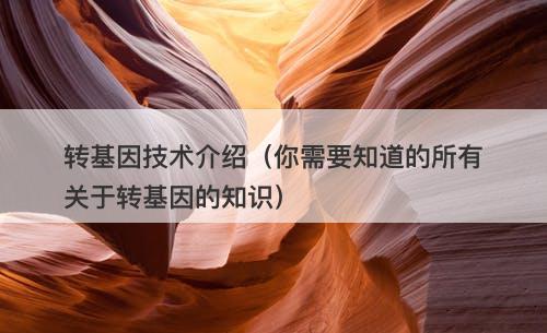 转基因技术介绍（你需要知道的所有关于转基因的知识）