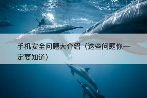 手机安全问题大介绍（这些问题你一定要知道）