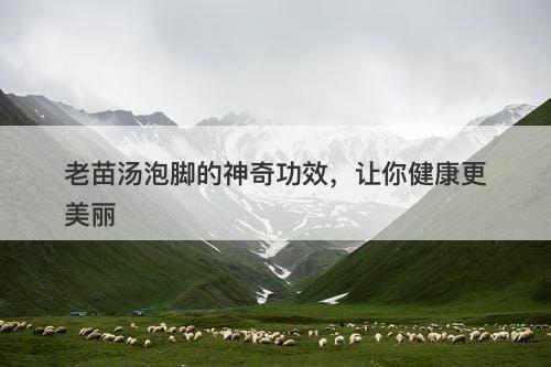 老苗汤泡脚的神奇功效，让你健康更美丽