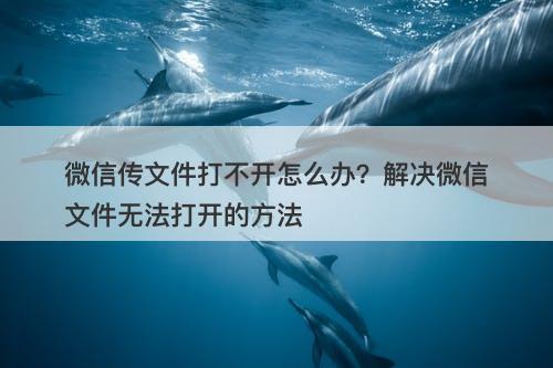 微信传文件打不开怎么办？解决微信文件无法打开的方法