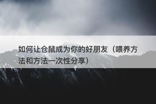 如何让仓鼠成为你的好朋友（喂养方法和方法一次性分享）