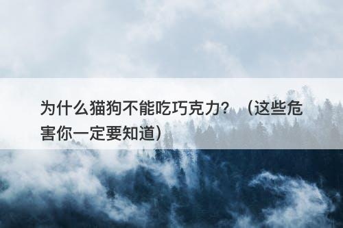 为什么猫狗不能吃巧克力？（这些危害你一定要知道）