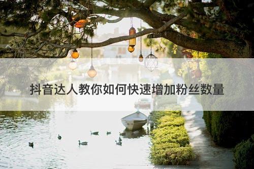 抖音达人教你如何快速增加粉丝数量