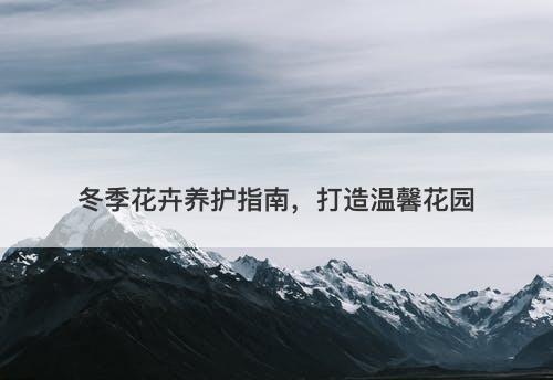 冬季花卉养护指南，打造温馨花园
