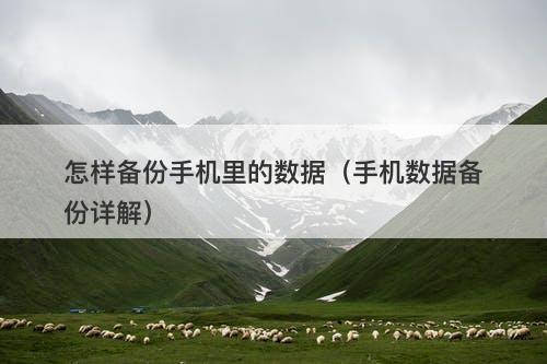 怎样备份手机里的数据（手机数据备份详解）