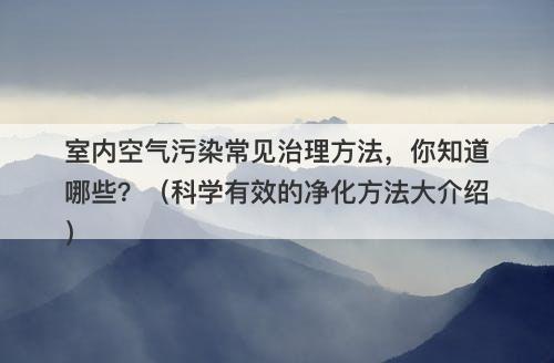 室内空气污染常见治理方法，你知道哪些？（科学有效的净化方法大介绍）