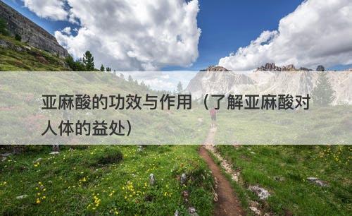 亚麻酸的功效与作用（了解亚麻酸对人体的益处）