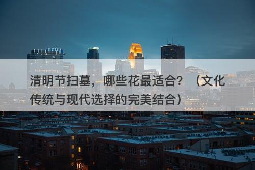 清明节扫墓，哪些花最适合？（文化传统与现代选择的完美结合）