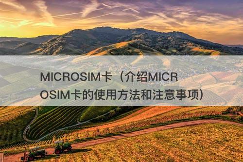 MICROSIM卡（介绍MICROSIM卡的使用方法和注意事项）